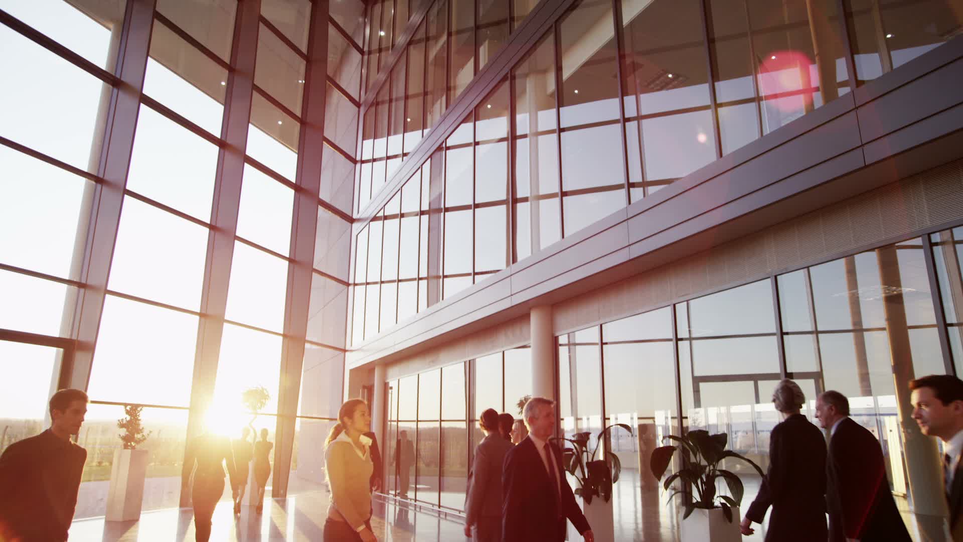 limited company